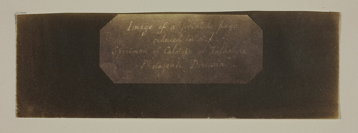 Specimen of Calotype of Talbotype, Photogenic Drawing  label , c. 1840 41. Creator: William Henry Fox Talbot. Specimen of Calotype of Talbotype, Photogenic Drawing  label , c. 1840 41. A work made of calotype negative.