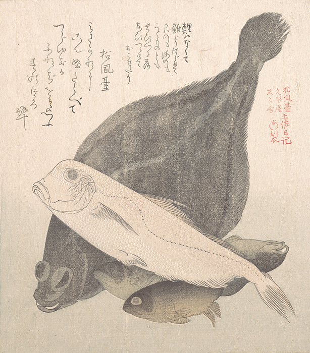 Flounder and Other Fishes, 19th century. Creator: Kubo Shunman. Flounder and Other Fishes, 19th century.