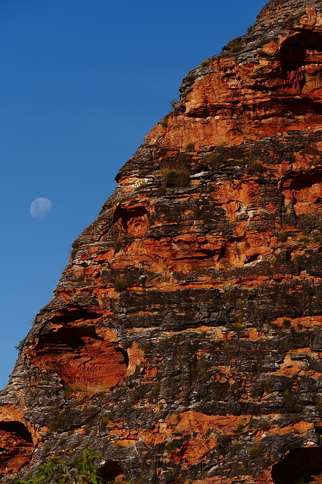Bungle Bungle Moonrise Western Australia World Heritage