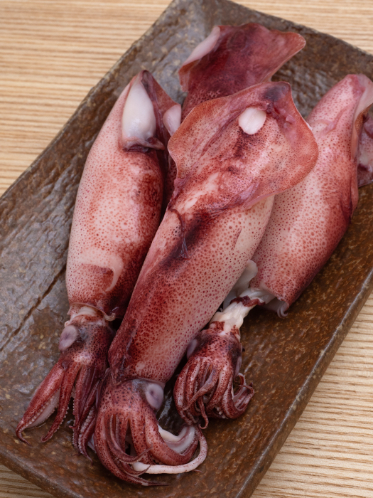 boiled squid