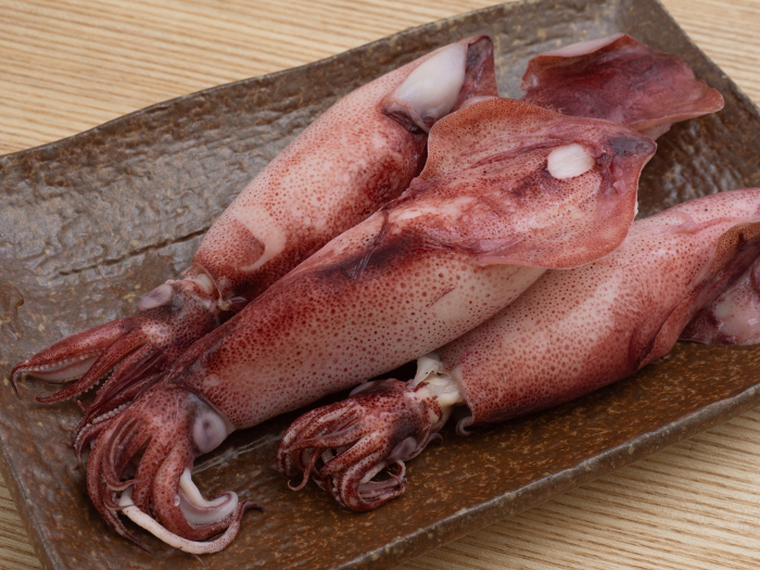 boiled spear squid (Loligo bleekeri)