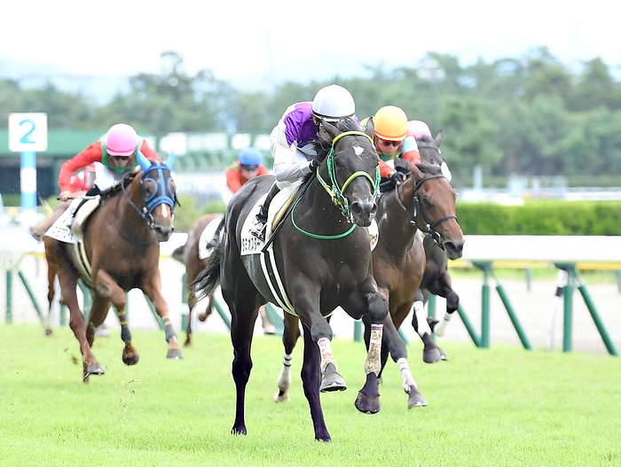 2021 2 year old maiden race September 5, 2021 Horse Race: 2 Year Old Unbeaten  2R , 1st place, No. 1, Tamiyo Star, jockey, Hironobu Tanabe, Niigata Racecourse