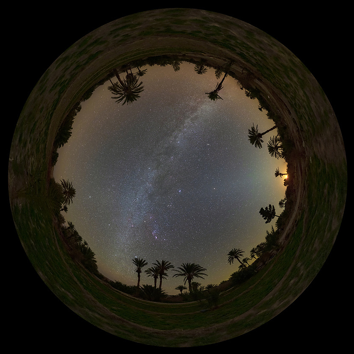 Night sky over Palm Grove, 360 degree view All sky image of the winter sky at Moonset. Captured in a palm grove in the Central Desert of Iran., Photo by AMIRREZA KAMKAR   SCIENCE PHOTO LIBRARY