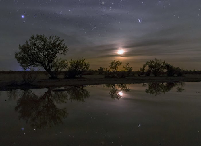 Moon and Pleiades star cluster Moon and Pleiades  Seven Sisters  star cluster over a small pond in a desert area in eastern Iran. The small pond had been formed after a few rainy days in the desert., Photo by AMIRREZA KAMKAR   SCIENCE PHOTO LIBRARY