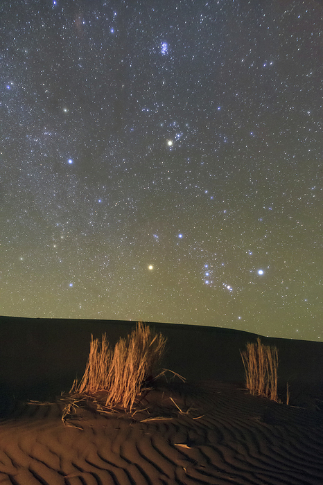 Night sky over desert, Shahrud, Iran Orion and Taurus constellations rising in the dark sky of Reza Abad desert, near Shahrud, Iran., Photo by AMIRREZA KAMKAR   SCIENCE PHOTO LIBRARY