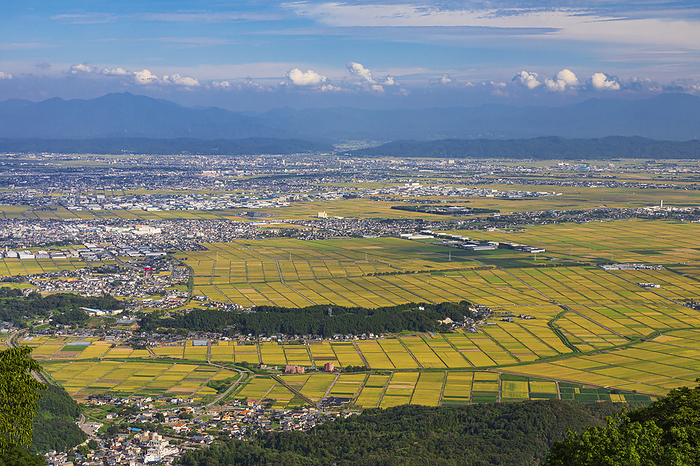 Echigo Plain from Mt.