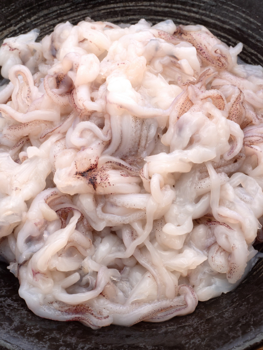 Sashimi of squid, gesso