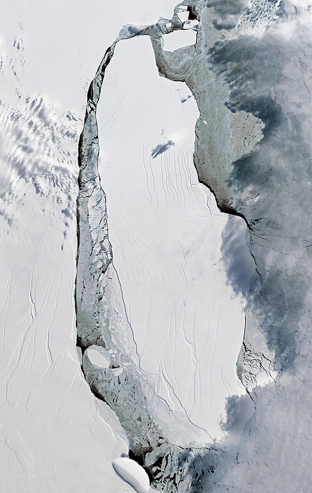 Larsen C iceberg, September 2017, satellite image Satellite image of the Larsen C iceberg  centre  adrift in the Weddell Sea  right , Antarctica, on the 16th September 2017. This huge iceberg split from the Larsen C ice shelf  left  at the end of July 2017. It has an area of around 6,000 square kilometres, more than 10 percent of the area of the ice shelf. The iceberg split further soon after calving, with the main iceberg  down centre  named A 68A, and a smaller piece  top centre right  named A 68B. This natural colour image was taken by the Operational Land Imager  OLI  on the Landsat 8 satellite.