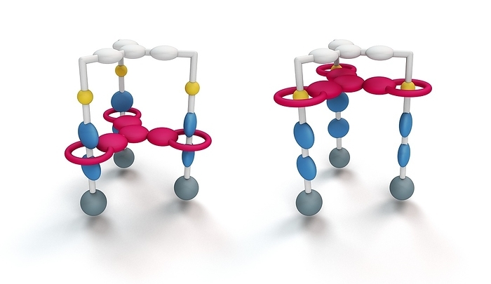Molecular elevator, molecular model Molecular model of a molecular elevator, a type of molecular machine. The elevator is made from small organic molecular subunits. The platformlike component  red  is interlocked with a tripodal riglike component. Switching the pH of the medium around the molecular elevator from acidic  right  to alkaline  left  makes the platform move between two recognition units  blue and yellow  on the tripod. The 2016 Nobel Prize in Chemistry was awarded to the chemists Jean Pierre Sauvage  b. 1944 , Sir J. Fraser Stoddart  b. 1942  and Bernard Feringa  b. 1951  for their work on the design and synthesis of molecular machines. Stoddart s work on molecular elevators was published in 2004.