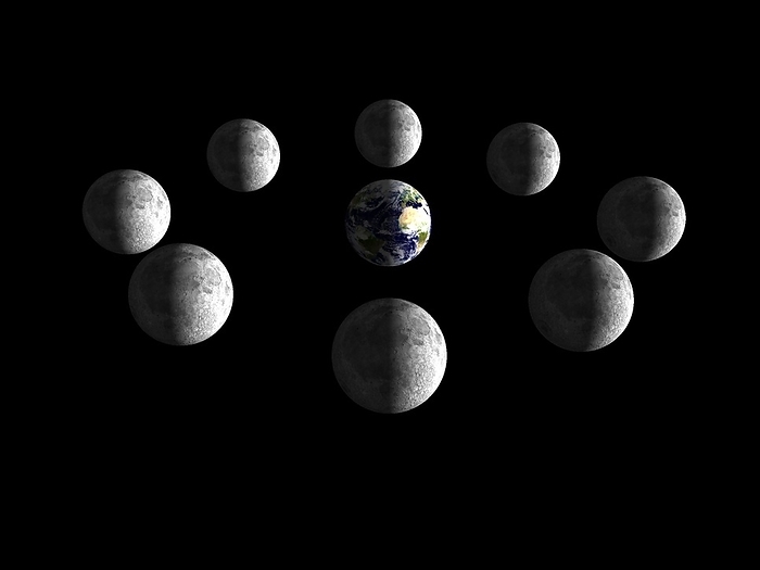 Phases of the Moon as seen from space, illustration Phases of the Moon as seen from space, illustration. As the Moon orbits the Earth, the amount of sunlight seen on its visible hemisphere varies in a regular cycle of just over 29 days  the synodic month . This montage of images shows, clockwise from centre right: a new Moon  a waxing crescent Moon  the Moon s first quarter  a waxing gibbous Moon  a Full Moon  a waning gibbous Moon  the Moon s third quarter  and a waning crescent Moon. As the cycle progresses, the motion of the Moon in its orbit around the Earth moves its visible hemisphere into and then out of the sunlight. The lunar day dawns on a waxing Moon, and then the lunar night falls on a waning Moon. Distances shown here are not to scale.