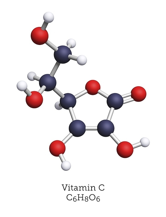 Molecular model of vitamin C Vitamin C, or ascorbic acid, is a general antioxidant and a cofactor in several wide ranging enzymatic reactions. Vitamin C is abundant in rose hips, kale, peppers and citrus. The disease scurvy results from a deficiency of vitamin C. Atoms are represented as spheres and are colour coded: carbon  black , hydrogen  white  and oxygen  red .
