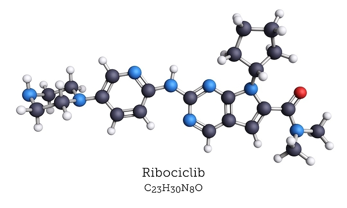 Molecular model of ribociclib breast cancer drug Ribociclib is used in combination with letrozole or some other aromatase inhibitor for the treatment of HR positive, HER2 negative advanced or metastatic breast cancer. Atoms are represented as spheres and are colour coded: carbon  black , hydrogen  white , nitrogen  blue  and oxygen  red .