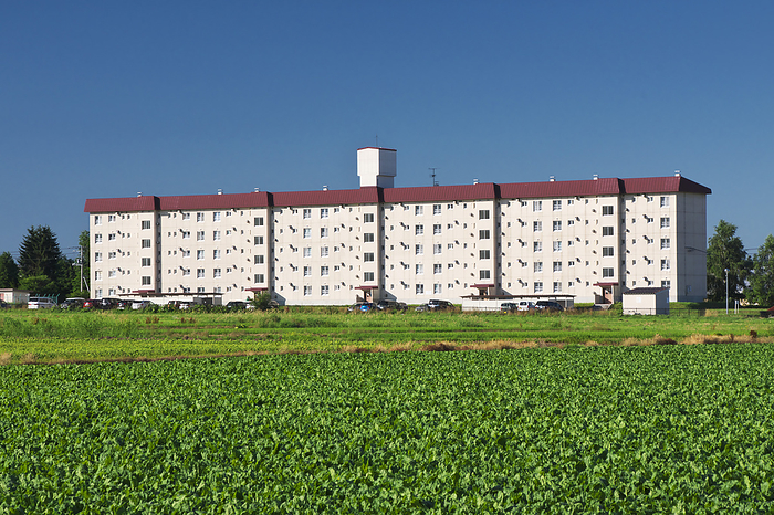 Public housing and beet field Hokkaido