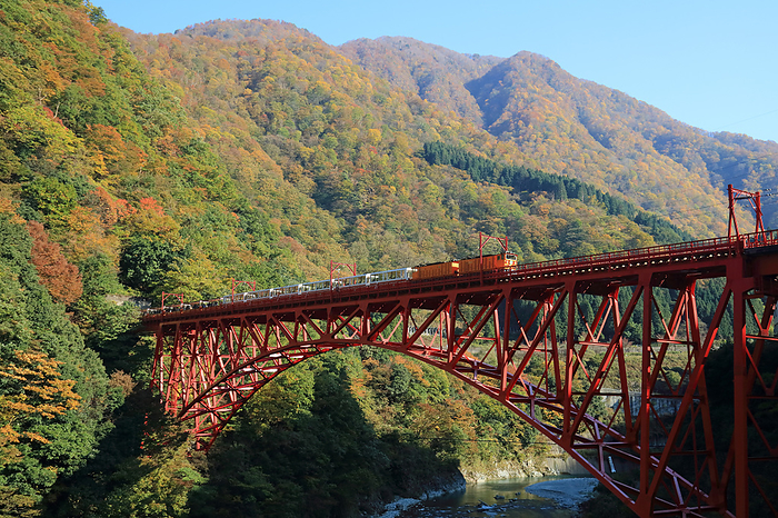 Toyama Prefecture, Kurobe City, Unazuki Hot Spring View of the Kurobe Gorge trolley car dyed in autumn leaves from the Yamabiko Observatory