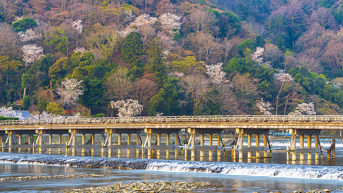 Watarizukibashi Bridge and mountain cherry blossoms