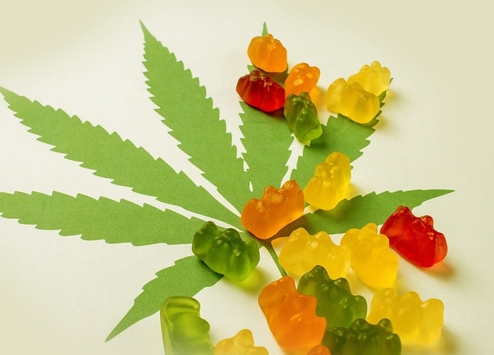 Cannabis infused gummy bears, conceptual image Cannabis infused gummy bears, conceptual image., Photo by VICTOR HABBICK VISIONS SCIENCE PHOTO LIBRARY