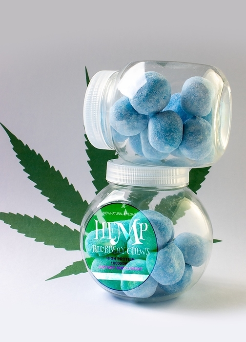 Cannabis infused blueberry chews, conceptual image Cannabis infused blueberry chews, conceptual image., Photo by VICTOR HABBICK VISIONS SCIENCE PHOTO LIBRARY