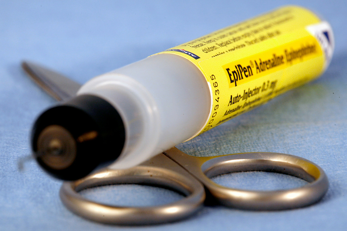 EpiPen EpiPen, an auto injector of adrenaline for treating anaphylactic shock. They are commonly carried by persons with severe allergies and a risk of anaphylactic shock because they can be self administered and are very fast acting., Creditline:MEDICIMAGE   SCIENCE PHOTO LIBRARY