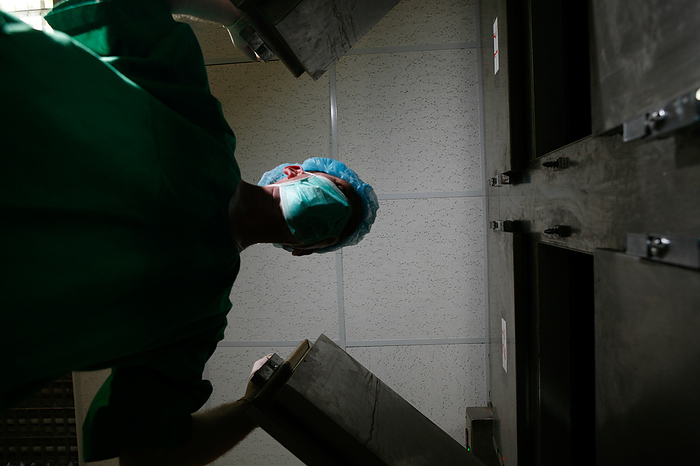 Mortuary technician opens doors to a cold storage facility Mortuary technician opens the doors to a cold storage facility., Creditline:MEDICIMAGE   SCIENCE PHOTO LIBRARY