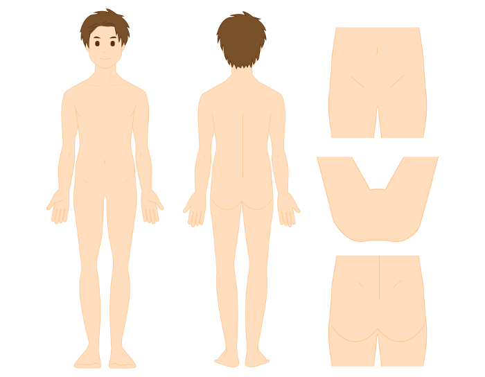 male full body illustration beauty vector illustration