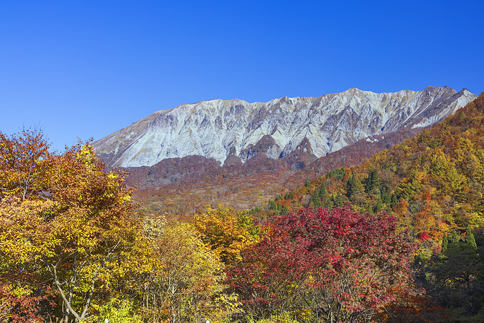 South Face of Mt. Daisen from Kagikake Pass in autumn leaves, Tottori Prefecture