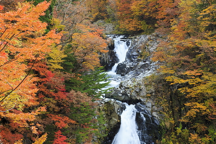 Houtai Falls, Chokaicho, Yurihonjo-shi, Akita Autumn leaves