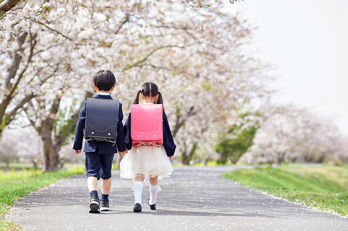 Japanese elementary school students walking along a row of cherry trees