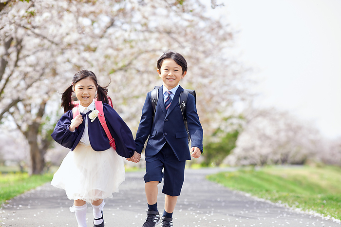 Japanese elementary school students walking under cherry blossoms