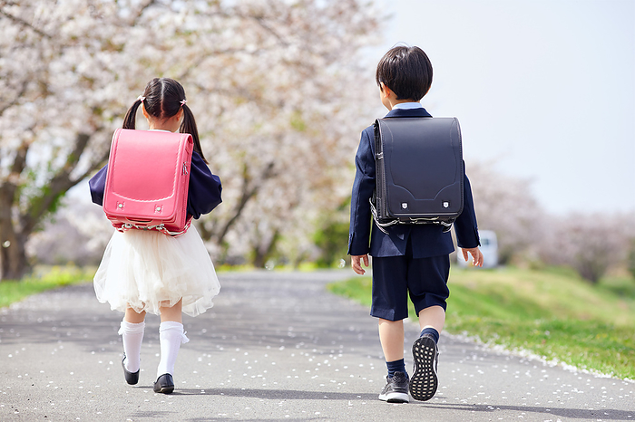 Japanese elementary school students walking along a row of cherry trees