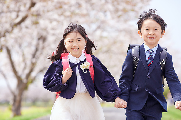 Japanese elementary school students walking under cherry blossoms