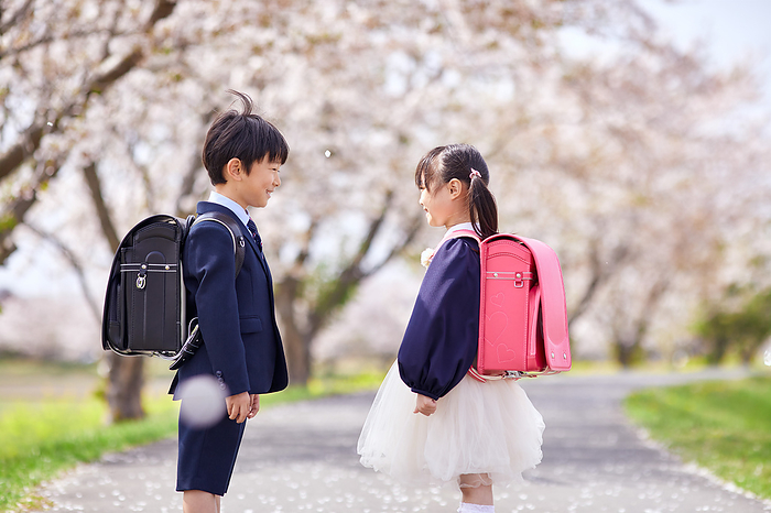 Japanese elementary school students facing the cherry blossoms