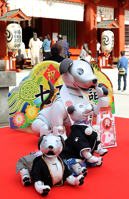 Sony s robot dog Aibo celebrates 753 festival for their third birthday November 12, 2021, Tokyo, Japan   Japanese electronics giant Sony s robot dog Aibo play at the Kanda shrine as they have purified with their owners by Shinto priest for the 753 festival in Tokyo on Friday, November 12, 2021. 753, shichi go san is a festival to celebrate growth of children aged 7, 5 and 3 while pet robot Aibo celebrated their third birthday.       Photo by Yoshio Tsunoda AFLO 