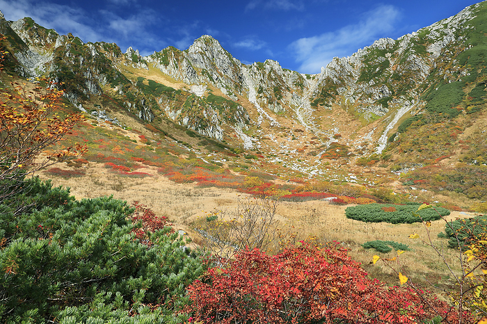 Autumn leaves of Senjidashiki Karl and mountains of the Central Alps