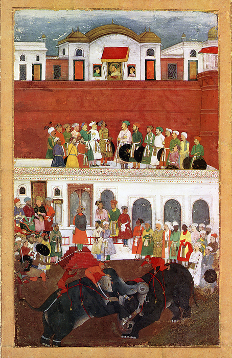 India: A miniature painting  c. 1650 CE  of Shah Jahan the Magnificent and two of his sons watching from windows as elephants battle in the courtyard of the Red Fort in Delhi.   Shahab ud din Muhammad Khurram Shah Jahan I  1592 1666  was the emperor of the Mughal Empire in India from 1628 until 1658. Jahan comes from Persian meaning  king of the world . While young, he was a favourite of his legendary grandfather Akbar the Great. While very young, he was pointed out to be the successor to the Mughal throne after the death of Emperor Jahangir. His reign has been called the Golden Age of Mughals. In 1658 he fell ill, and was confined by his son Emperor Aurangzeb in the citadel of Agra until his death in 1666.