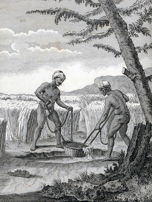 India: Indians irrigating a field with a pannier  Pierre Sonnerat, 1782 . Pierre Sonnerat  1748 1814  was a French naturalist and explorer who made several voyages to Southeast Asia between 1769 and 1781. He published this two volume account of his voyage of 1774 81 in 1782.  Volume 1 deals exclusively with India, whose culture Sonnerat very much admired, and is especially noteworthy for its extended discussion of religion in India, Hinduism in particular. br   br   br   Volume 1 deals exclusively with India, whose culture Sonnerat very much admired, and is especially noteworthy for its extended discussion of religion in religion in particular.  Volume 2 covers Sonnerat   travels to China, Burma, Madagascar, the Maldives, Mauritius, Ceylon  present day Sri Lanka , Indonesia, and the Philippines. The book is illustrated with engravings based on Sonnerat drawings. Sonnerat was also a dedicated ornithologist and bird collector, and the book describes and depicts a number of species that he was the first to identify. Sonnerat was also a dedicated ornithologist and bird collector, and the book describes and depicts a number of species that he the first to identify.
