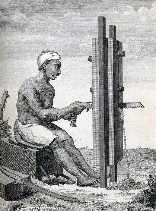 India: A man sawing wood  Pierre Sonnerat, 1782 . Pierre Sonnerat  1748 1814  was a French naturalist and explorer who made several voyages to Southeast Asia between 1769 and 1781. He published this two volume account of his voyage of 1774 81 in 1782.  Volume 1 deals exclusively with India, whose culture Sonnerat very much admired, and is especially noteworthy for its extended discussion of religion in India, Hinduism in particular. br   br   br   Volume 1 deals exclusively with India, whose culture Sonnerat very much admired, and is especially noteworthy for its extended discussion of religion in religion in particular.  Volume 2 covers Sonnerat   travels to China, Burma, Madagascar, the Maldives, Mauritius, Ceylon  present day Sri Lanka , Indonesia, and the Philippines. The book is illustrated with engravings based on Sonnerat drawings. Sonnerat was also a dedicated ornithologist and bird collector, and the book describes and depicts a number of species that he was the first to identify. Sonnerat was also a dedicated ornithologist and bird collector, and the book describes and depicts a number of species that he the first to identify.