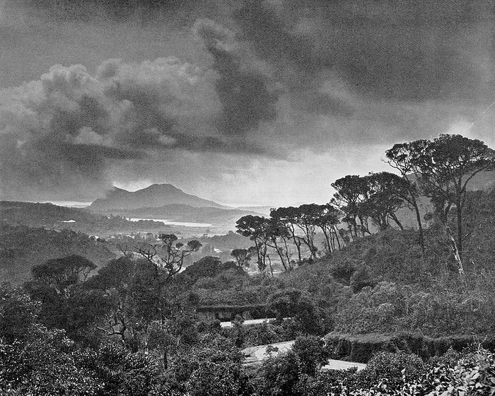 Sri Lanka: A storm over Nuwara Eliya Lake. Photography by Ernst Haeckel, early 20th century.  Ernst Heinrich Philipp August Haeckel  February 16, 1834   August 9, 1919 , also written von Haeckel, was an eminent German biologist, naturalist, philosopher, physician, professor and artist who discovered, described and named thousands of new species, mapped a genealogical tree naturalist, philosopher, physician, professor and artist who discovered, described and named thousands of new species, mapped a genealogical tree Haeckel was an eminent German biologist, naturalist, philosopher, physician, professor and artist who discovered, described and named thousands of new species, mapped a genealogical tree relating all life forms, and coined many terms in biology, including anthropogeny, ecology, phylum, phylogeny, and the kingdom Protista. promoted and popularized Charles Darwin s work in Germany.