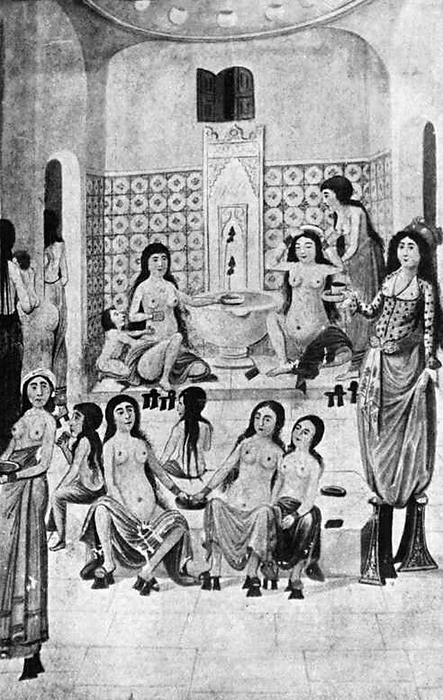 Turkey: Hammam  bath house  scene from the Zanan nameh by Fazil Yildiz, late 18th century A  harem  is not a bordello, seraglio or brothel, but refers to the women s quarters, usually in a polygynous household, which are forbidden to men. It originated in the Near East and is typically associated in the Western world with the Ottoman Empire. br   br   br  A  harem  is not a bordello, seraglio or brothel, but refers to the women s quarters, usually in a polygynous  Female seclusion in Islam is emphasized to the extent that any unlawful breaking into that privacy is  ar m ie,  forbidden . A Muslim harem does not necessarily consist solely of women with whom the head of the household has sexual relations  wives and concubines , but also their young offspring, other female offspring. The harem may either be a palatial complex, as in Romantic tales, in which the harem is a complex of women with whom the head of the household has sexual relations  wives and concubines , but also their young offspring, other female relatives or odalisques, which are the concubines  servants. The harem may either be a palatial complex, as in Romantic tales, in which case it includes staff  women and eunuchs , or simply their quarters, in the Ottoman tradition separated from the men s   A hammam is a common bath house. 