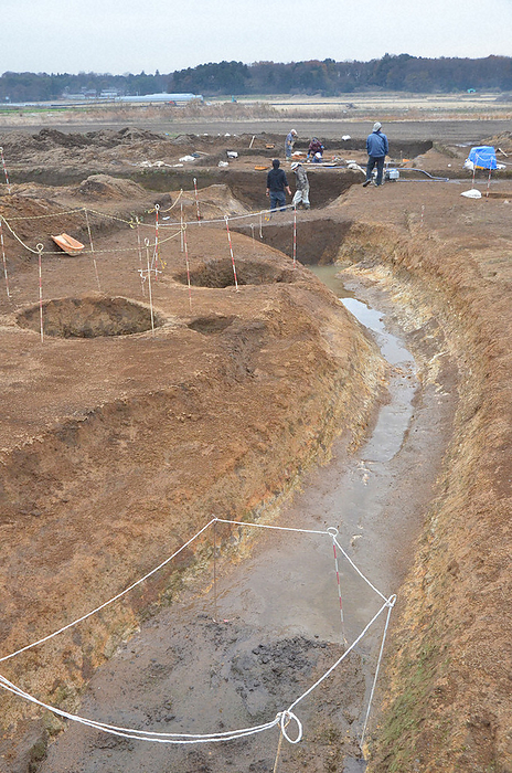 The remains of a moat at the Katori mae site, where excavation is underway. The remains of a moat at the Katori mae site, where excavation is underway, in Takei, Yuki City on the afternoon of December 6, 2021. Photo by Shinichi Yasumi, 3:39 p.m.