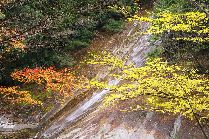 Ehime Prefecture Snowflake Falls in Autumn Leaves Namekoko Gorge