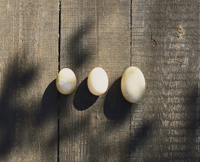 Free range eggs Three small, medium and large free range eggs casting shadow on wooden table, close up., Photo by DK IMAGES SCIENCE PHOTO LIBRARY