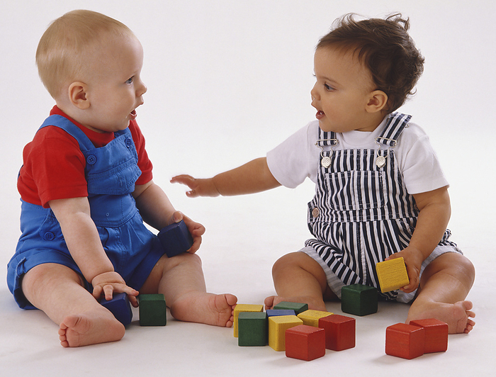 Two babies playing with brightly coloured wooden blocks Two babies wearing dungarees sitting and playing with brightly coloured wooden blocks., Photo by DK IMAGES SCIENCE PHOTO LIBRARY