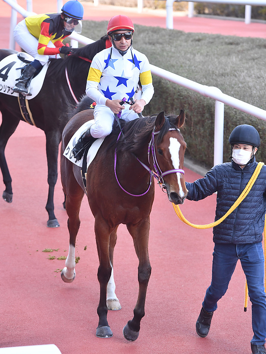 2021 2yrs old New horse race Make Debut Hanshin December 18, 2021 Horse Race 6R, Shinsa  New Horse  1, No. 3, Claire Rider   Norihiro Yokoyama Location   Hanshin Racecourse