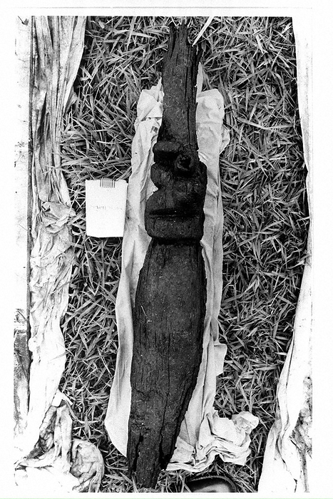 Wooden carvings excavated from the Satsuma Ruins. A Jomon period totem pole with a face carved into a 65 centimeter long chestnut tree. A totem pole from the Jomon period.