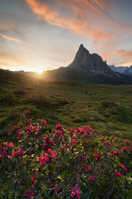 Dolomites, Italy the sun peeks out over the Giau Pass, illuminating the beautiful summer flowers, Dolomiti, municipality of Cortina d Ampezzo, Belluno province, Veneto district, Italy, Europe, Photo by Carlo Conti