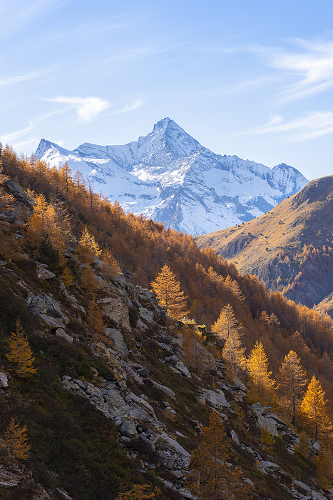 Italy Grivola, Grauson valley, Cogne valley, Valle d Aosta, Italian Alps, Italy, Photo by Francesco Sisti