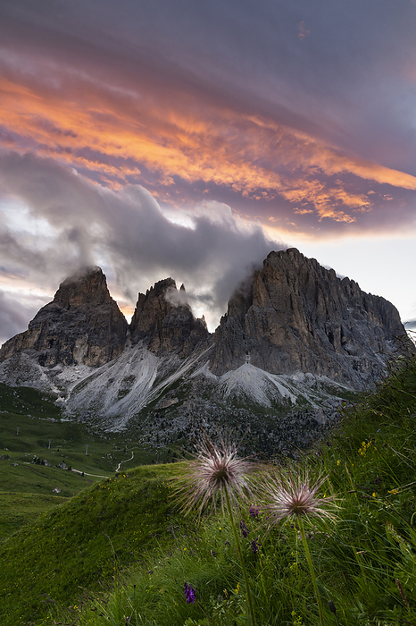 Dolomites, Italy Langkofel Sassolungo group at sunset from Sella pass, Fassa Valley, Trentino Alto Adige, Dolomites, Italy., Photo by Giacomo Meneghello