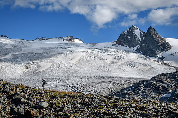 Italy Trekker with Rutor glacier on background, close to Deffeyes refuge,Rutor and Vedette summit on background, La Thuile valley, Aosta Valley, Italy, Europe, Photo by Marco Gabbin