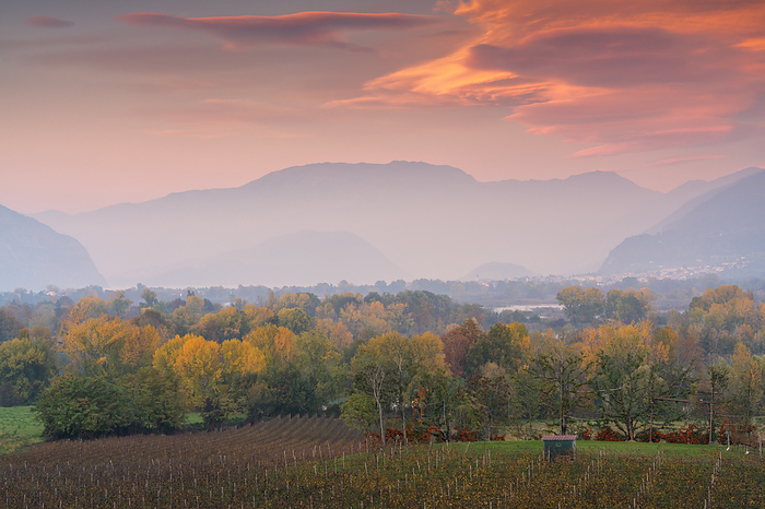 France Sunset over Franciacorta and Torbiere del Sebino natural reserve, Brescia province in Italy, Lombardy, Europe., Photo by Michele Rossetti