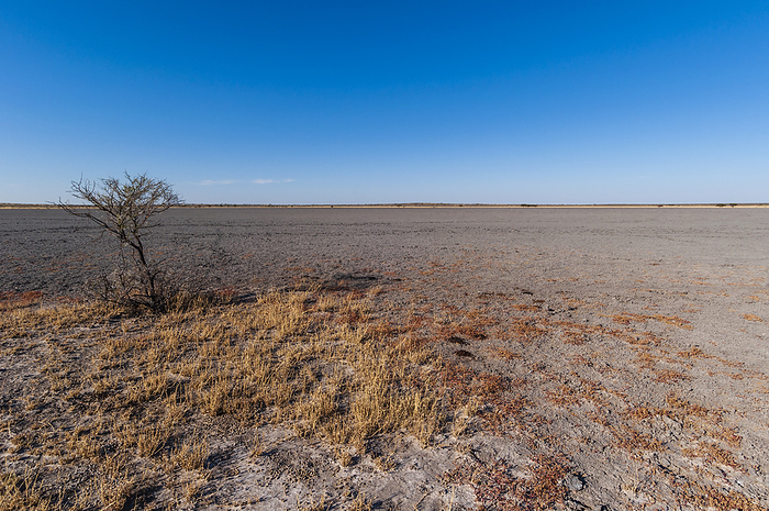 Botswana Deception Valley, Central Kalahari Game Reserve, Botswana., Photo by Sergio Pitamitz